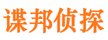 鸡冠侦探公司